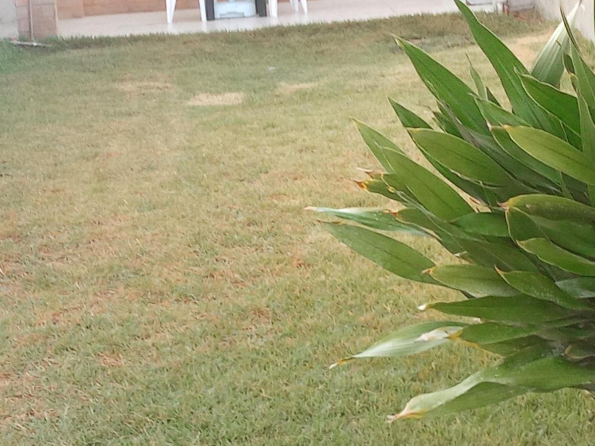 Barra de Jacuípe Casa Sol Nascenteヴィラ エクステリア 写真